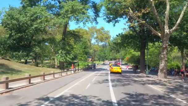 Rowerów pasa Central Park 4k — Wideo stockowe