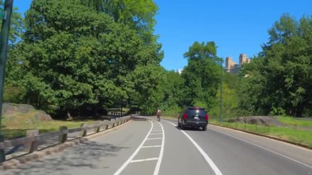 Central Park Nueva York Estados Unidos — Vídeo de stock