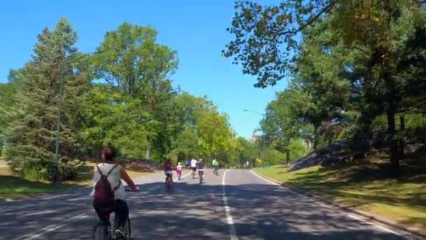 Central Park Nueva York Estados Unidos — Vídeo de stock