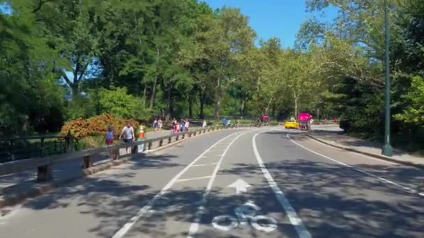 Central Park Nueva York Estados Unidos — Vídeo de stock