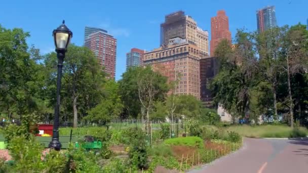 Motion beelden Battery Park gardens — Stockvideo