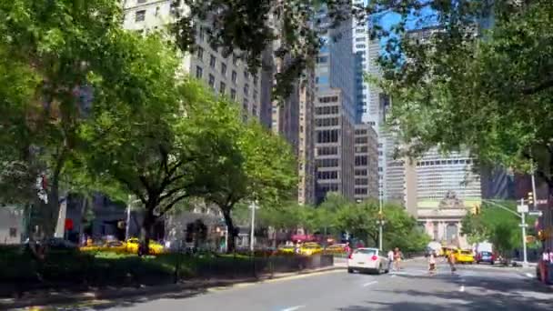 Park Avenue New York. — Video Stock