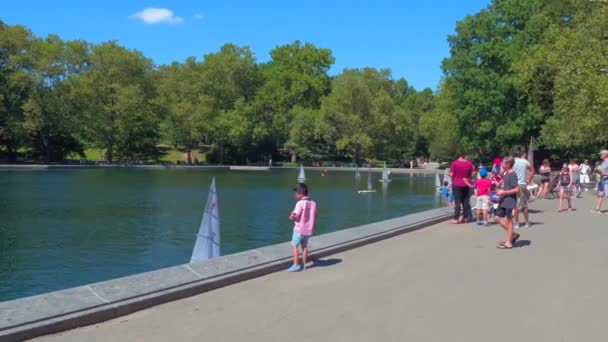 RC sail boat rental Central Park NY — Stock Video