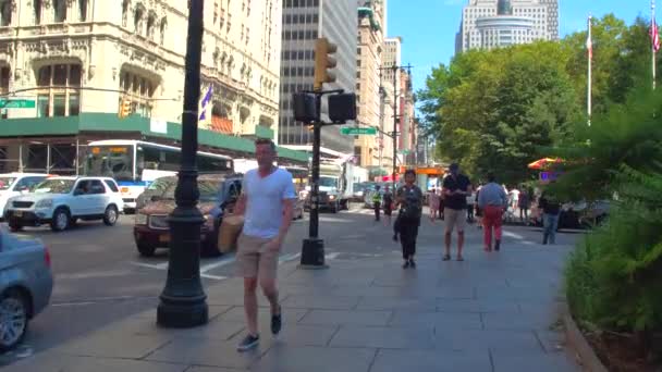 Touring na ulicach Nowego Jorku — Wideo stockowe