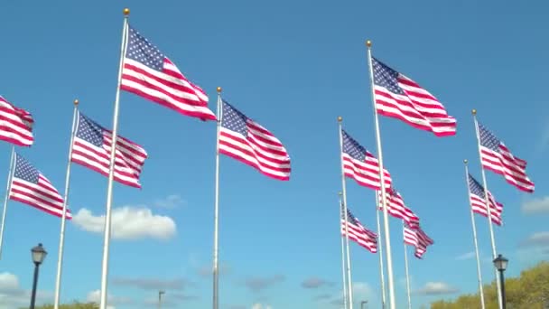 Stock video American flags — Stock Video