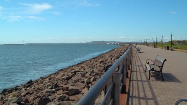 Panorámica de la Estatua de la Libertad — Vídeos de Stock