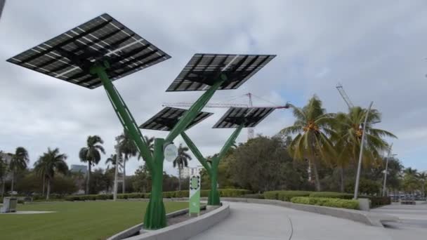 佛罗里达州好莱坞青年圈的Fpl 6K视频太阳能发电树 — 图库视频影像