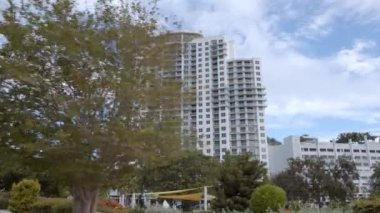 Hollywood Florida 'daki ağaç sirkinin arkasındaki bina ortaya çıktı.