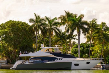 Palmiye ağaçlarının yanındaki lüks yatlar Miami Beach FL