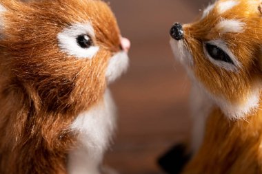 Fox bir sincap makro fotoğrafına bakıyor.