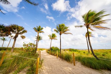 Lauderdale 'in fotoğrafı. Florida Sahili' nin ve palmiye ağaçlarının yanında.