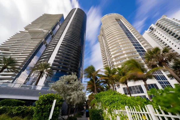 Miami Palmiye Ağaçları Olan Yüksek Binalar Grubu — Stok fotoğraf