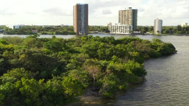 Drone Video Miami Mangrove Biscayne Bay Islands — 图库视频影像