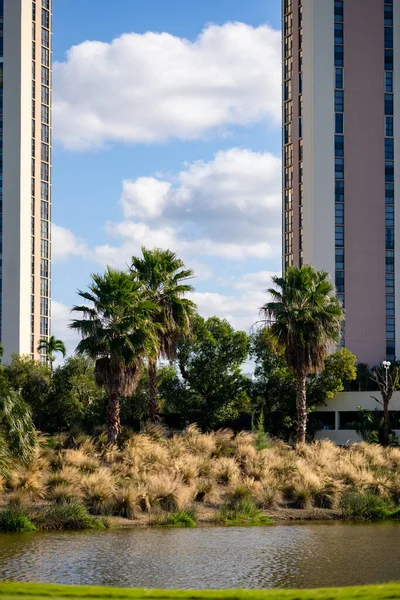 Palm Trees Garden Buildings Background — Stock Photo, Image