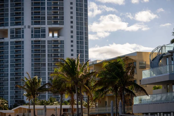 Palmeras Condominios Edificios Hoteleros Miami Escena — Foto de Stock