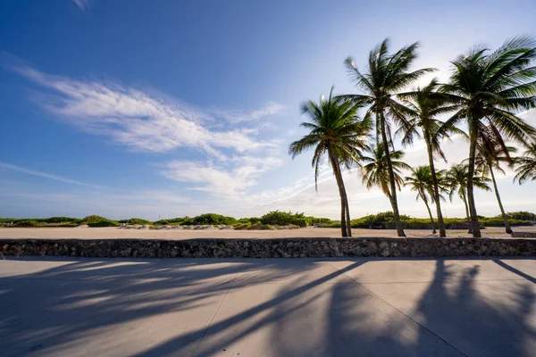 Üres Miami Beach Covid Alatt Coronavirus Lezárni Nem Emberek — Stock Fotó