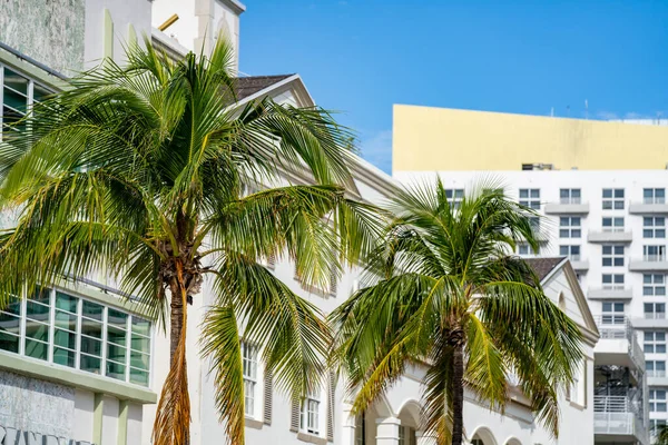 Miami Beach Eua Dezembro 2020 Foto Palmeiras Hotéis Ocean Drive — Fotografia de Stock