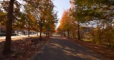 Güzel yeşillikler Charlotte NC ABD Sugar Creek Greenway yolu