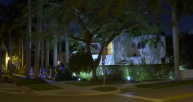 Tatiller için Noel ışıkları