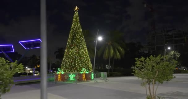 Hollywood Florida Young Circle Arts Park Christmas Tree Season 2020 — стокове відео