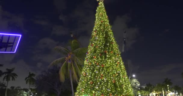 Video Albero Natale Nel Young Circle Hollywood Park — Video Stock