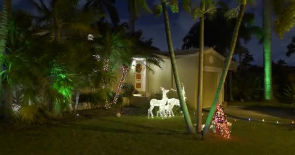 House Holiday Decorations Night — Stock Video