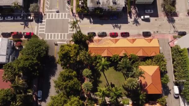 Havadan Yükselen Palmiye Ağacı Apartman Binası — Stok video