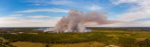 Panorama Aéreo Controlado Quema Forestal Bosques — Foto de Stock