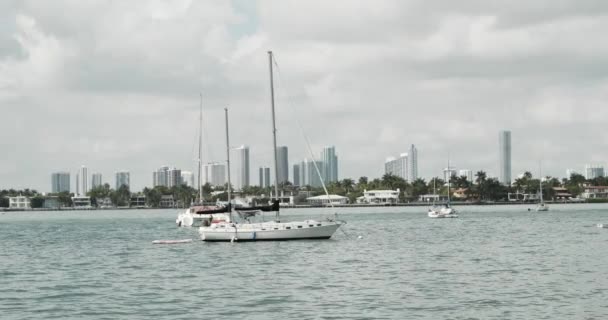 Zpomalení Hrdina Sledování Záběr Plachetnic Miami Biscayne Bay — Stock video