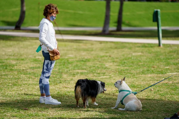 2021年1月30日 公園内に犬のいる女 — ストック写真