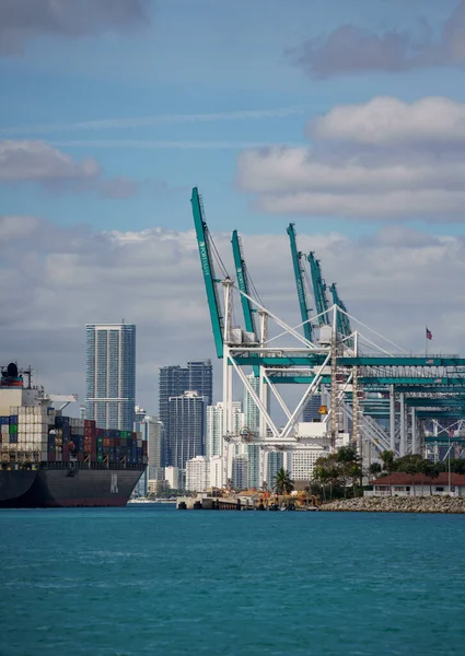Miami Beach Usa January 2021 Ship Arriving Porrt Miami Cargo — Stock Photo, Image