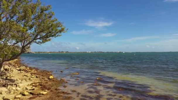 Características Costeras Miami Florida — Vídeos de Stock