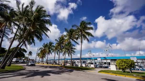 Timelapse Miami Beach Haulover Marina — Vídeos de Stock