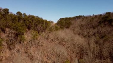 Chattanooga Tennessee 4k 'de orman dağları üzerinde uçan bir hava videosu.