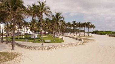 Miami Sahili mercan duvarları rahatlatıcı video görüntüleri