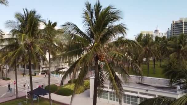 Revelación Aérea Miami Beach Ocean Drive Palmeras Spring Break 2021 — Vídeos de Stock