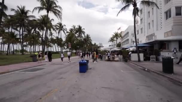 Ters Klip Ilkesi Stili Miami Plajı Bahar Tatili 2021 — Stok video