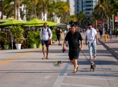 Miami Beach FL 'de köpek gezdiren adam.