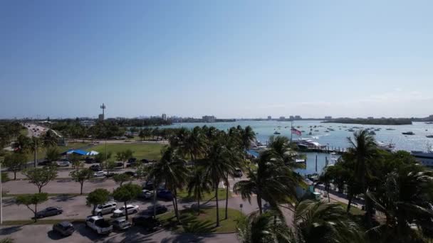 Miami Μαρίνα Βάρκες Στον Κόλπο — Αρχείο Βίντεο
