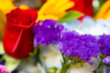 Bulanık arkaplanı olan makro çiçekler