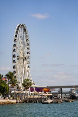 Bayside Pazarı 'ndaki turistik merkezde Miami dönme dolabı