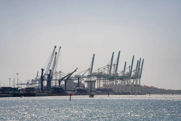 Cranes Port Miami Usa — Stock Photo, Image