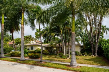 Hollywood Lakes Mahallesi 'nin Florida' daki tek kişilik aile evleri serisi.