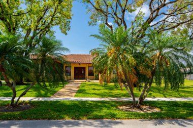 Palmiye ağaçları ve mavi gökyüzü olan güzel tropikal plaj