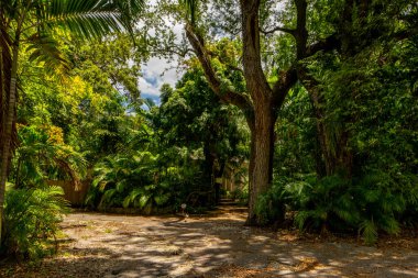 Miami, FL USA - 15 Mayıs 2021: Coconut Grove mahallesindeki tek bir aile evinin fotoğrafı