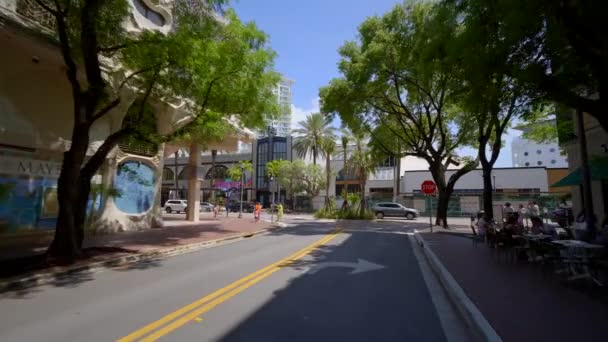 Coconut Village Grove Miami — Vídeos de Stock