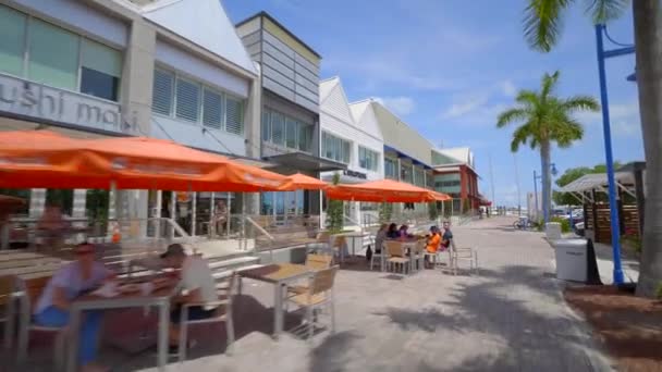 Firmy Bayshore Landing Coconut Grove Miami — Wideo stockowe