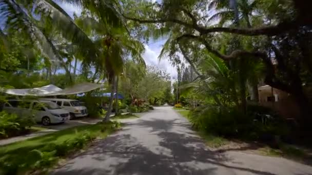 Bostäder Coconut Grove Miami Motion Video — Stockvideo