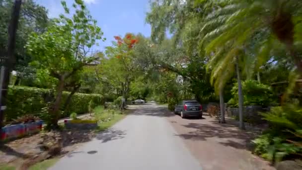 Conduzir Através Coconut Grove Miami Eua — Vídeo de Stock
