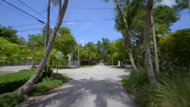 Coconut Grove Miami Deki Hareketli Turne Mahalleleri — Stok video